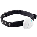 Collier GPS Tracker Chien Chat – Localisation Temps Réel