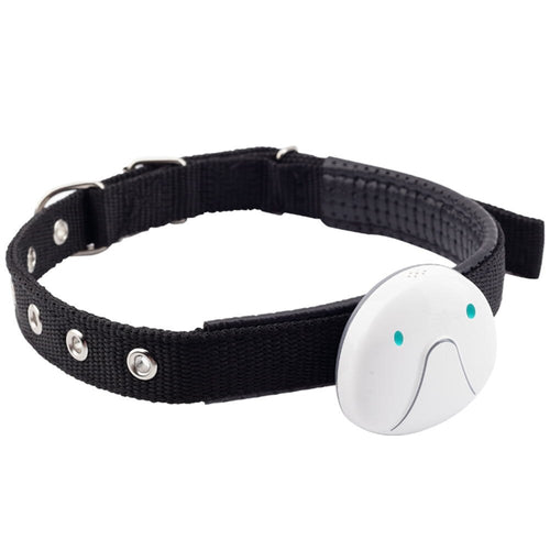 Collier GPS Connecté Chien Chat – Suivi Santé Temps Réel