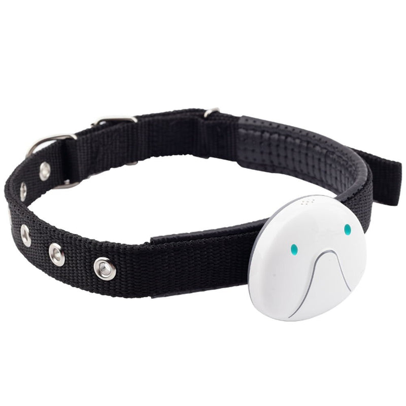 Pack Animaux Essentiel — Tout-en-Un