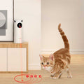 Jouet Laser Rotatif Chat – Stimulation Automatique 24h/24