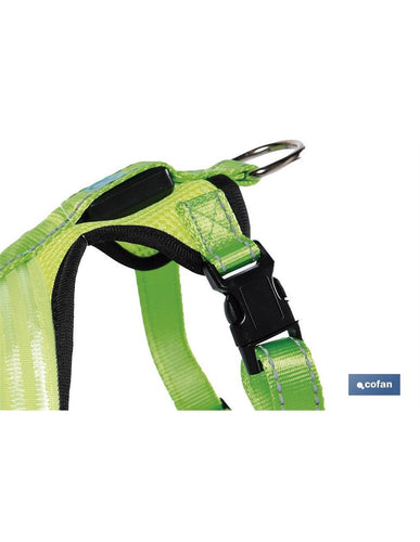 Harnais LED Chien Réfléchissant – Visible 150m Nuit | USB